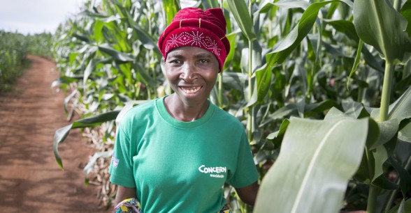 Esime Jenaia at her plot in Chituke village, Mangochi, Malawi.
