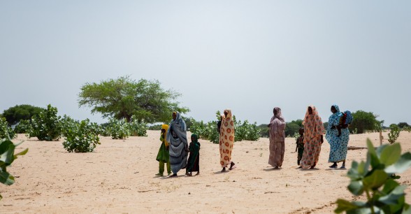 Local community members crossing the baron landscape of the Lake Chad region.