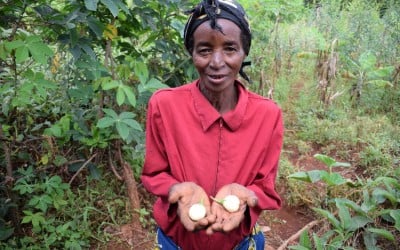 Widow Isabelle Mundana (66) earns a living from selling white aubergines at market which she cultivates on her plot of land and kitchen garden, along with caja peas, Chinese cabbage, amaranth, onion and spinach. She has benefitted from nutrition and hygiene training and a series of money transfers as part of Concern’s community and household resilience programme to improve living conditions and livelihoods for the most vulnerable. Photo: Darren Vaughan/Concern Worldwide.