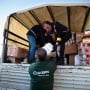 Concern staff unloading truck of supplies in Turkiye