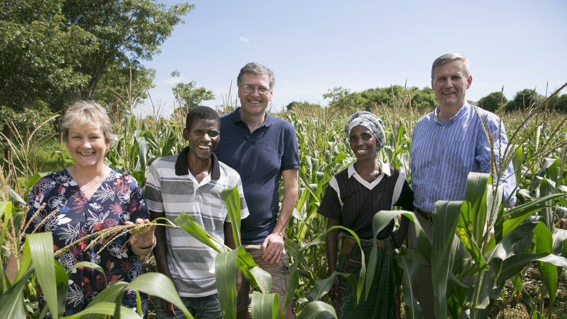 Concern has been carrying out Conservation Agriculture programming in Malawi since 2012, with the help of Accenture. Photo: Concern Worldwide.