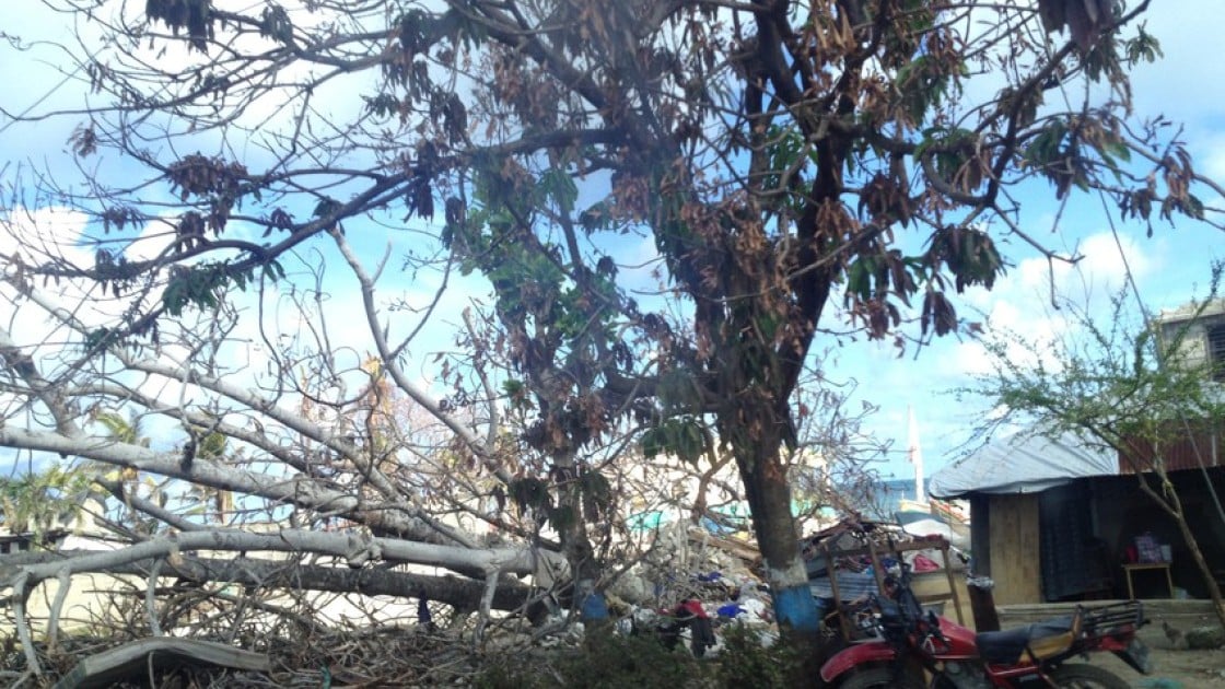 Hurricane Matthew in Haiti