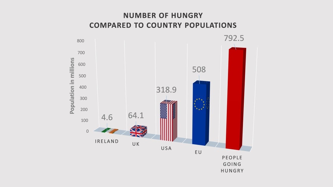 792.5 million people went hungry in the world in 2015. Graphic: Concern Worldwide.