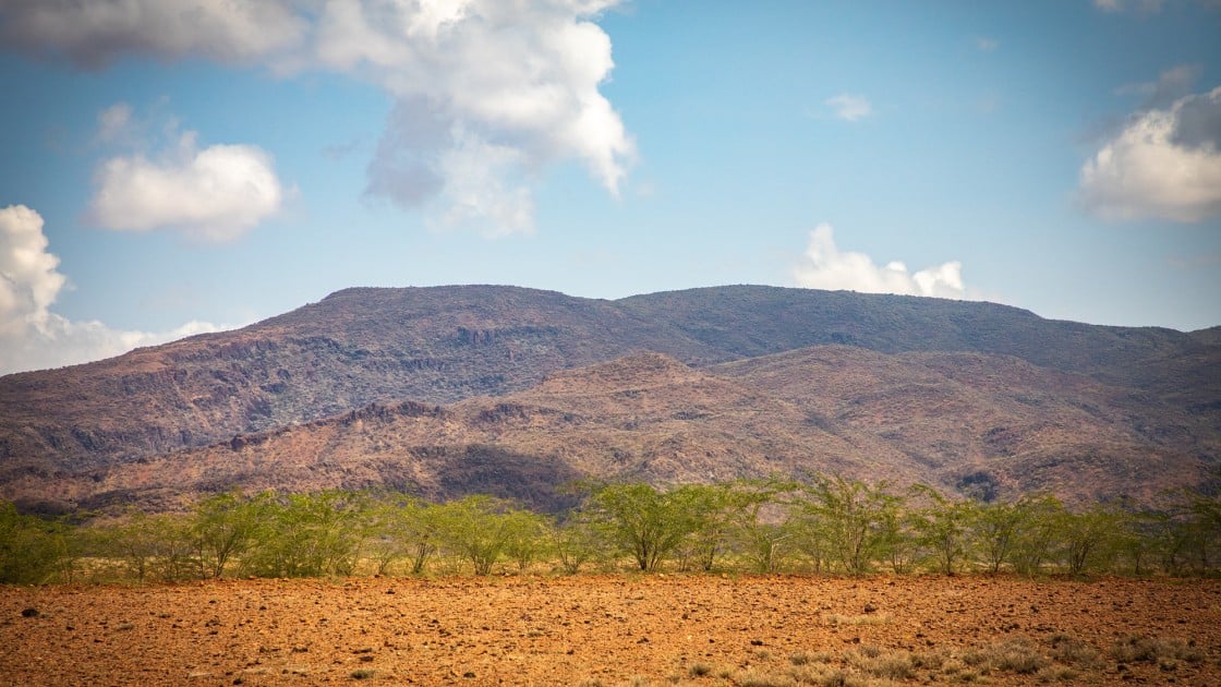 Drought in Turkana county is drying up pastures for livestock to graze on. Photo: Gavin Douglas / Concern Worldwide.