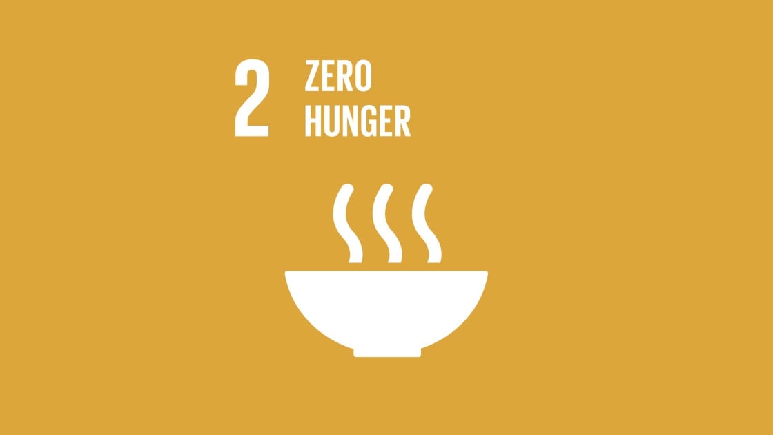 We are the zero hunger generation, let’s change the world! | Concern ...