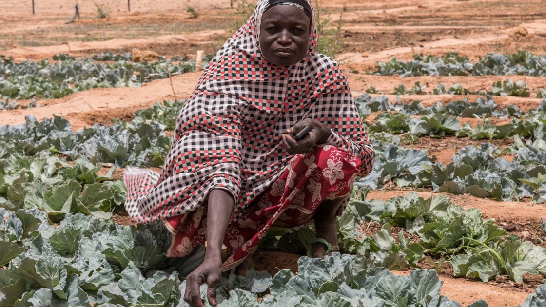Chawada Aboubacar, Community Health Volunteer, with her ‘sac potagé’ – the vegetable garden she has grown with the support of Concern. Photo: Apsatou Bagaya / Concern Worldwide.