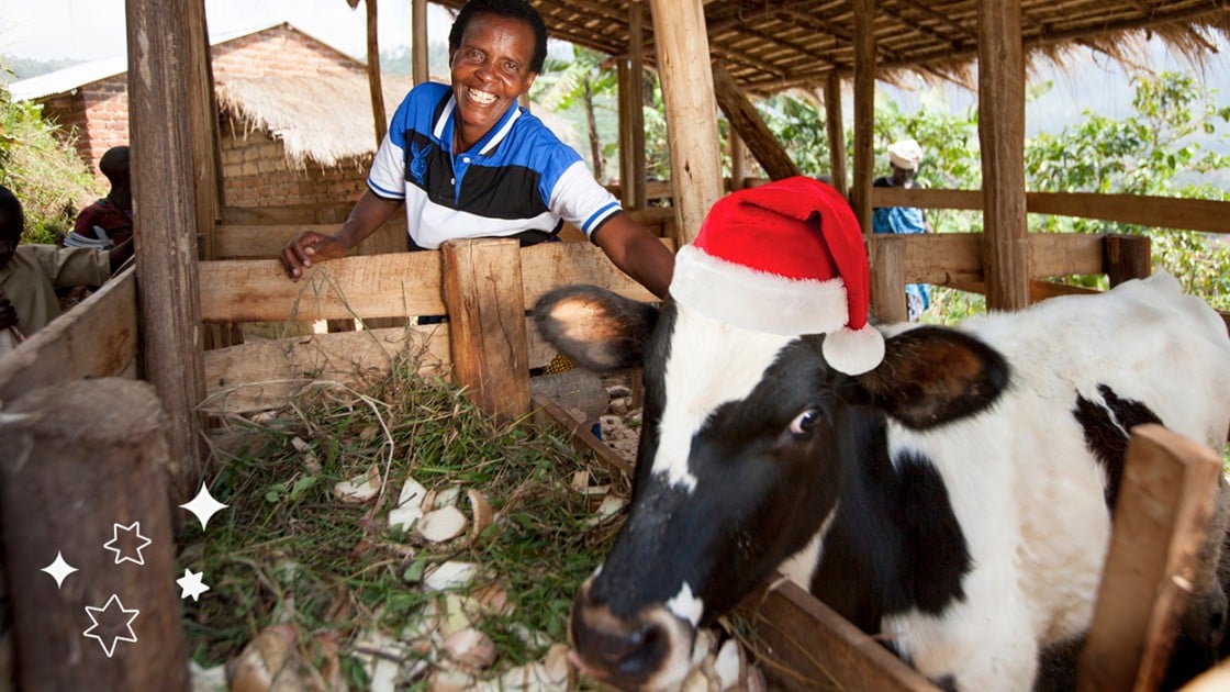 Violette Bukeyeneza with her cow. Photo: Abbie Trayler-Smith / Concern Worldwide.
