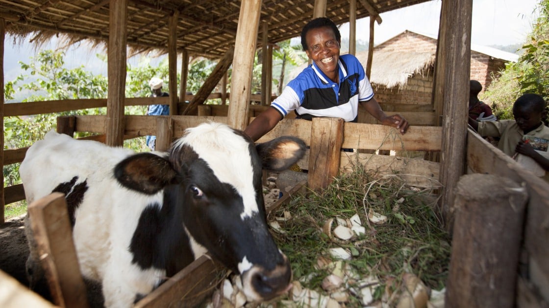 Violette Bukeyeneza with her cow. Photo: Abbie Trayler-Smith / Concern Worldwide.