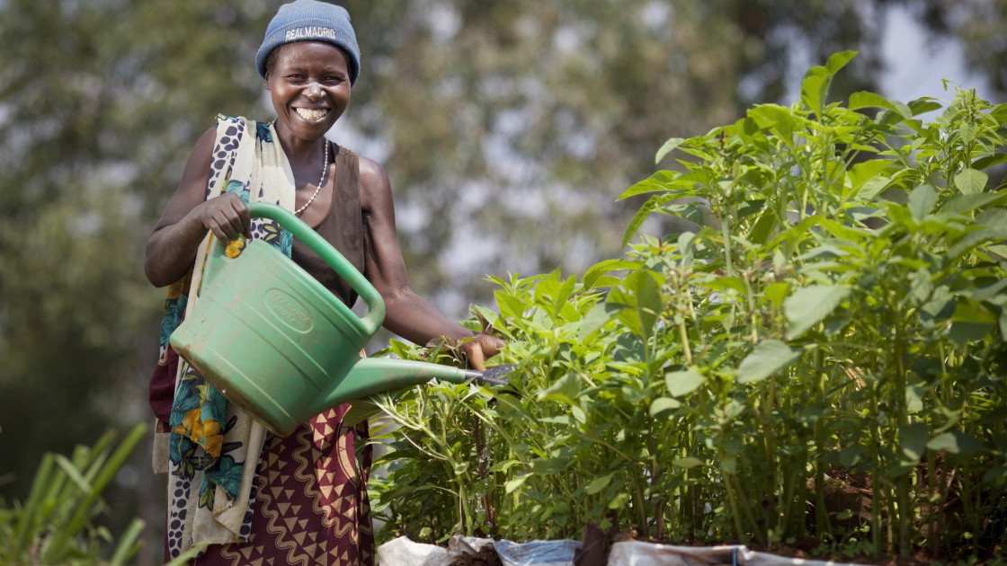 Euphemia Inina waters her market garden at her home in Mabayi, Cibitoke. Photo: Abbie Trayler-Smith / Concern Worldwide.