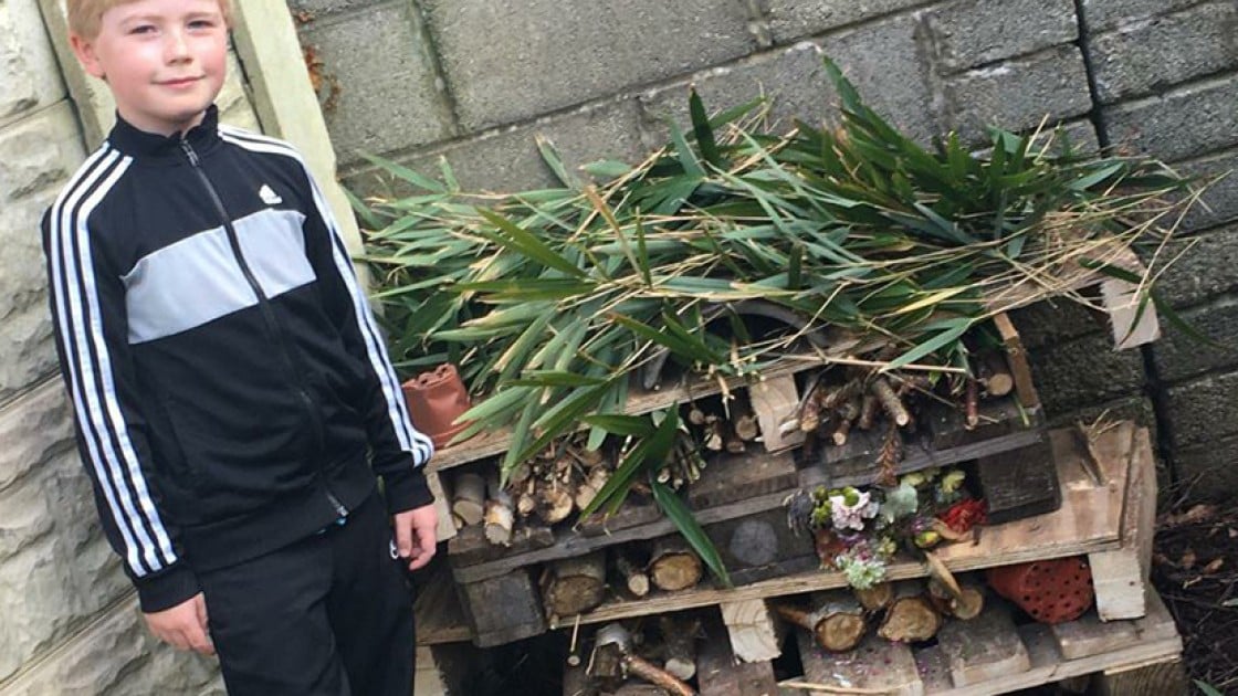Sam Murphy (9) from Cobh Cork who built an insect hotel as part of Concern Worldwide's new home-schooling 17 Days to Learn challenge. Photo: Concern WOrldwide.