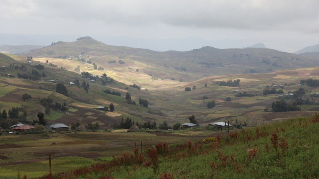 Ethiopia is under the dual threat of COVID-19 and a locust infestation