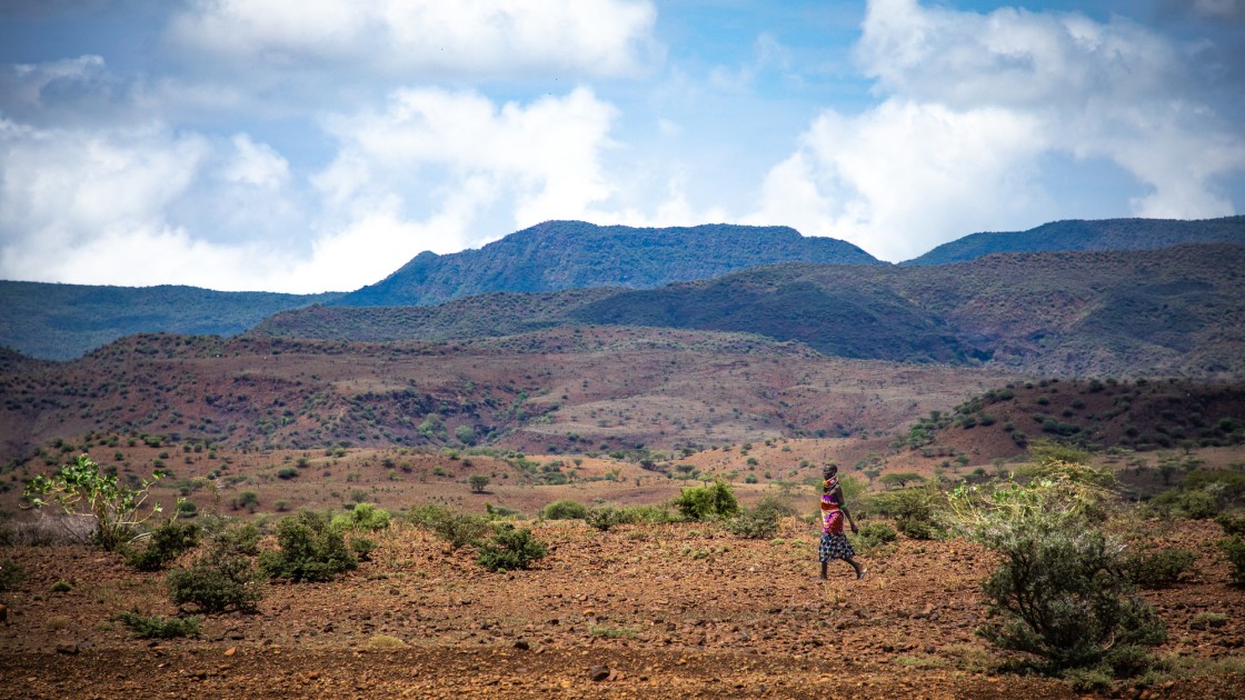 Frequent drought in Turkana county is drying up pastures for livestock to graze on