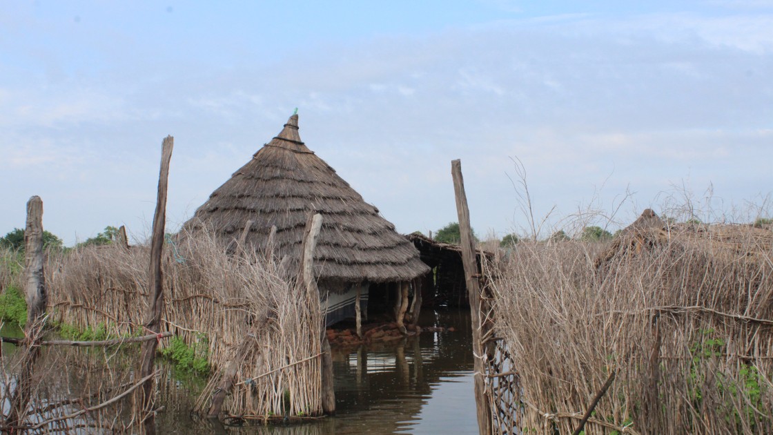 Flooding in Sitteb Village, Sudan Photo by Ibrahim Adam Osman / Concern Worldwide