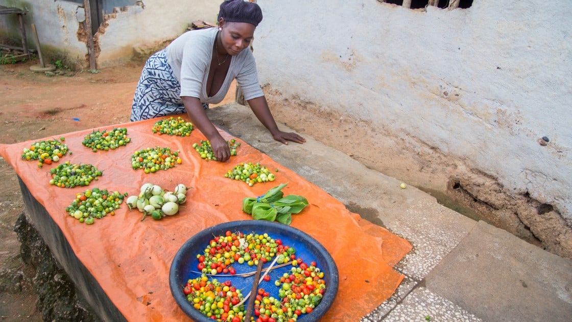 Kebah Bemah participates in one of Concern's farmer field schools in Lofa County, Liberia. She is pictured here with some of her Beetaball harvest. Photograph taken by Kieran McConville/Concern Worldwide.