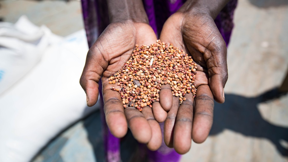 A beneficiary holds up grains provided by the WHO and distributed by Concern Worldwide