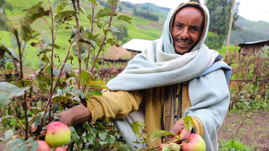 Ahimed Ali Mahamed now has apple trees – and the skills to tend to them – thanks to the generosity of people like you. Photo: Jennifer Nolan, Ethiopia, 2017.