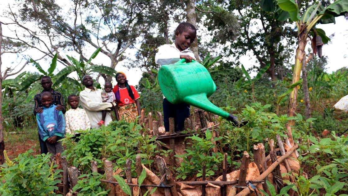 Six-year-old David Minani waters the family kitchen garden in Mutembo, Busoni while his mum, dad and four brothers watch on. Photo: Chris de Bode/Concern Worldwide, Burundi, 2017