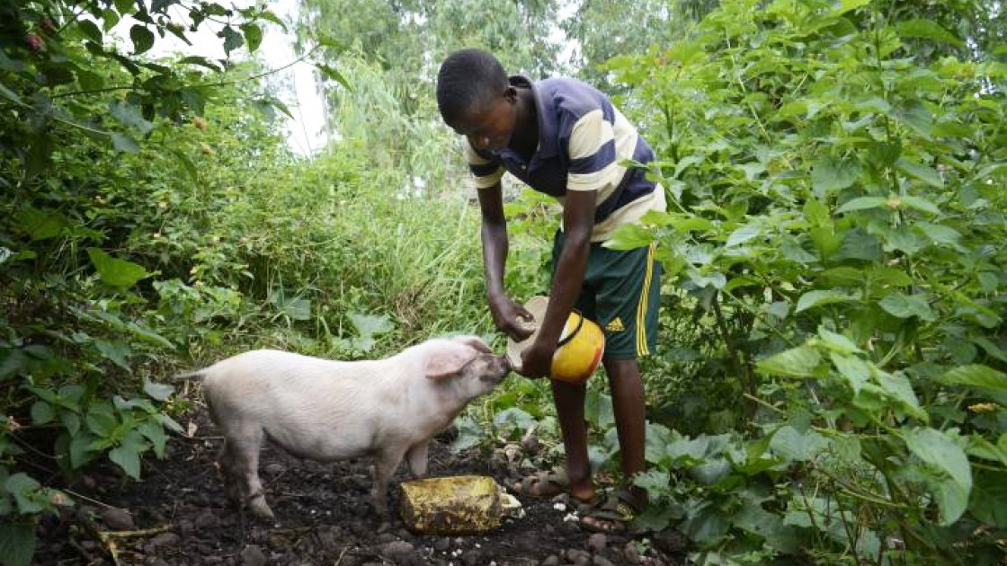 18-year-old Jack helps look after the family pig, along with six goats, some chickens and pigeons. Photo: Chris de Bode/Concern Worldwide, Burundi, 2017.