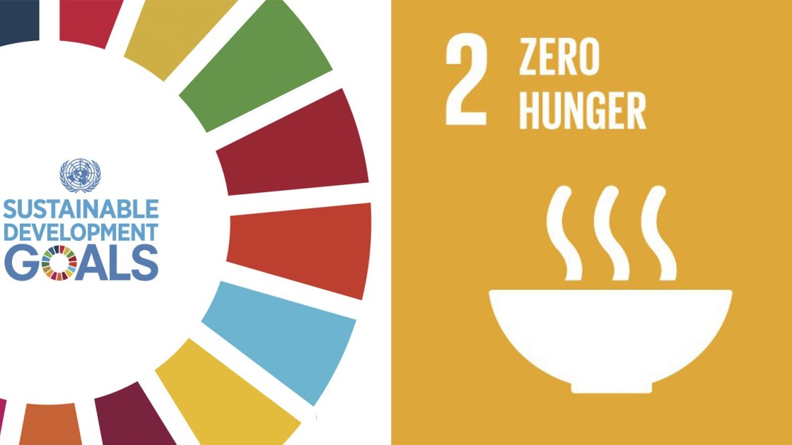 Goal two of the global goals: getting to zero hunger.