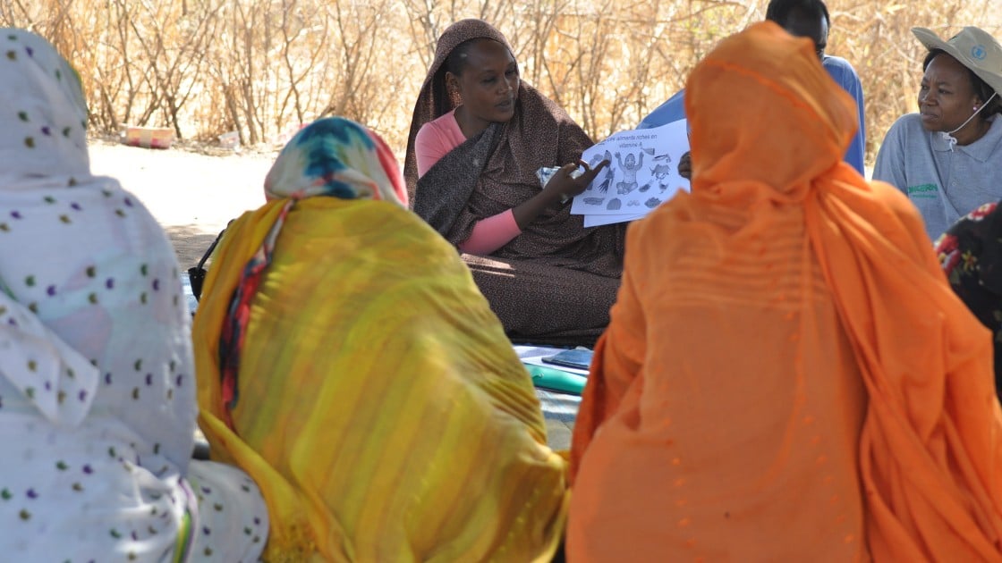Concern staff conducting infant and young child feeding training near Karo village, Dar Sila, Chad, 2014. Photo: Connell Foley / Concern Worldwide.