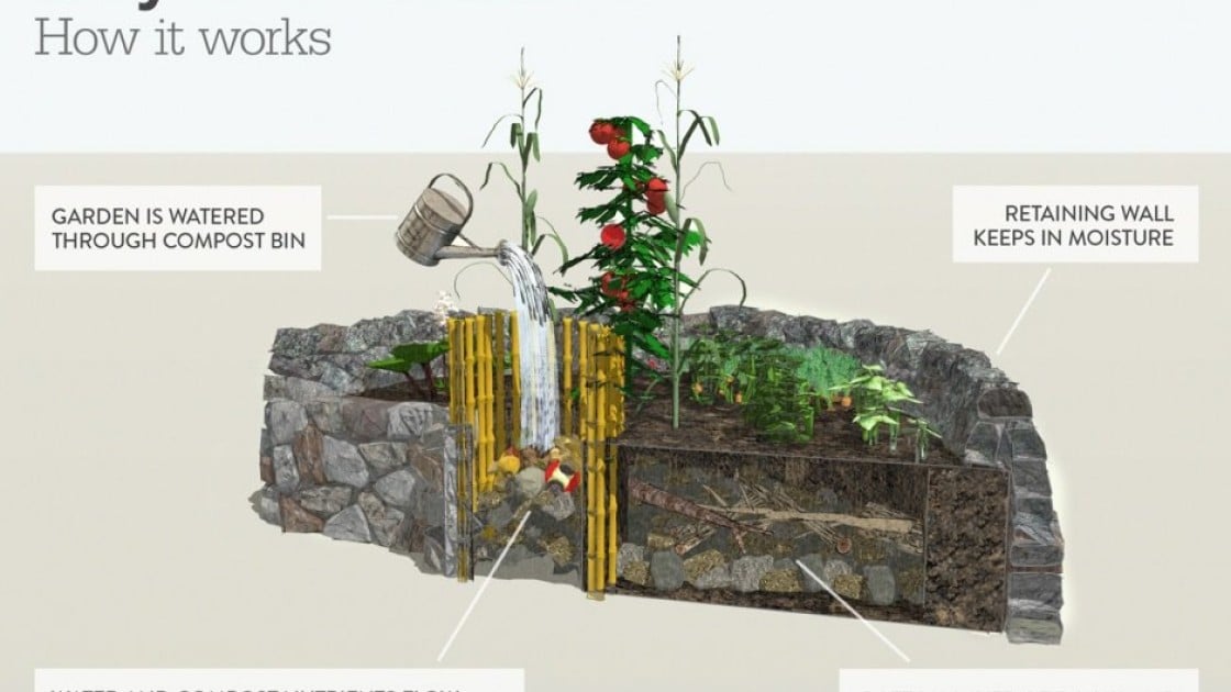 How a keyhole garden works. Photo: Aeri Wittenbourgh/Concern Worldwide.