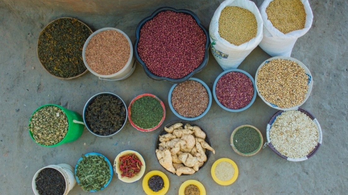 Harvest of a Smallholder Model Farmer in the RAIN project, taken in January 2014. Photograph taken by: Gareth Bentley/Concern Worldwide.