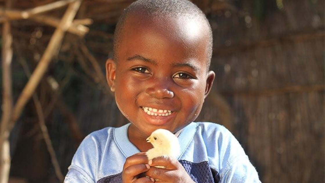 Donnex Jordan holds a baby chick. Jennifer Nolan/Concern Worldwide, Malawi, 2016.