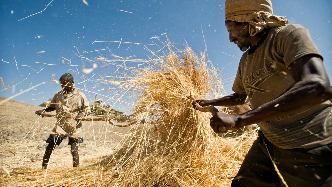 Two men farming on the cover of the Global Hunger Index Cover. Photo: Global hunger Index.
