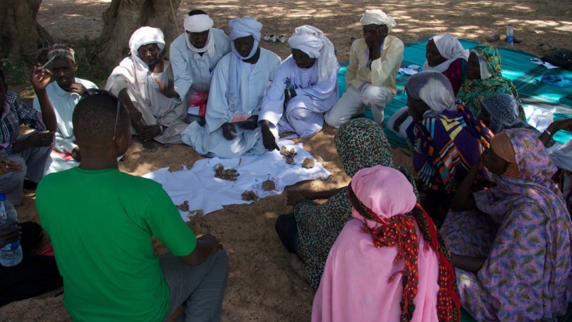 Tcharow comite communautaire daction discuss the results of the vote on impact and frequency of hazards in order to prioritise the most important ones in Chad. Photo: Concern Worldwide.