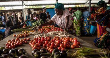 Francoise Kakuji selling her vegetables at the central market of the town of Manono, Tanganyika Province, Democratic Republic of Congo. 