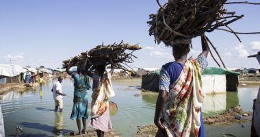 Women carrying firewood in Unity State, South Sudan