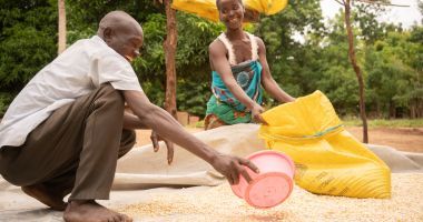 Couple in Malawi drying maize together