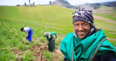 Ethiopian farmer with his daughters working their potato crops in the highlands of South Wollo