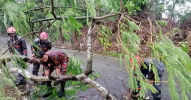 Rescuers clearing a road near Cox's Bazar, Bangladesh, after Cyclone Mocha. 