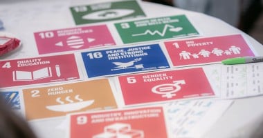 Sustainable Development Goals cards on table