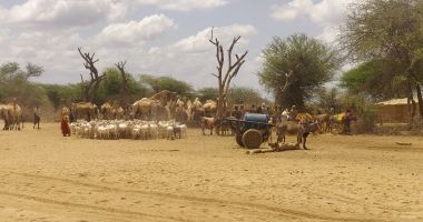 Water collection at Mesajid shallow well, Somali Region, Ethiopia