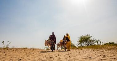 Harta* (60), Hamila* (8), Hdidja* (30) and Fadoul* (7) travel to far distances to find water in Chad. (Photo: Gavin Douglas/Concern Worldwide, names changed for security)