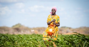 Mumina Mohamed on irrigated plot of maize next to her home in Subo village