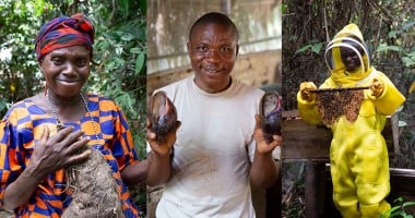 Yaiye Conteh, Jerry Gorr and David Gargar are all foraging for food security Photo: Kieran McConville/Concern Worldwide