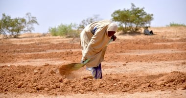 Cash for Work-Land restoration work in the village of Dan Tounou, Niger. (Photo: Concern Worldwide)