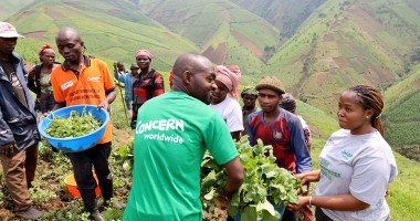 Concern staff members work with participants in an agricultural recovery project in Democratic Republic of Congo.