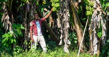 Issa K. Conteh in his village
