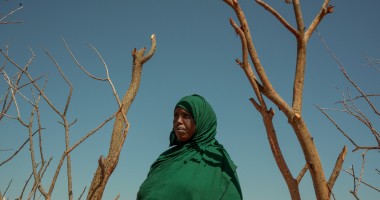 Hafsa Mohamud lives in Borama with her husband and nine children. The area where they live is devoid of clean water, with the nearest source five hours away.