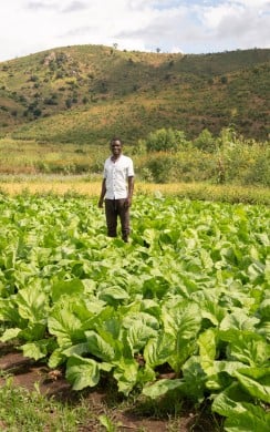Concern staff member Timothy advises two farmers in Malawi.