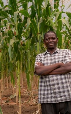 A village chief in Malawi, stands in front of crops grown using Climate Smart Agriculture techniques. 