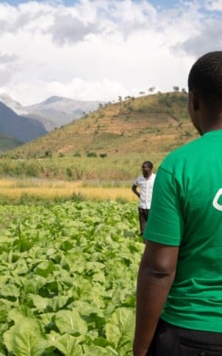 Concern's Timothy Kampira stands with back to camera wearing Concern t-shirt as he advises two farmers in field