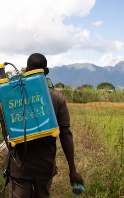 A farmer in Malawi carris a spray pack to irrigate fields. 