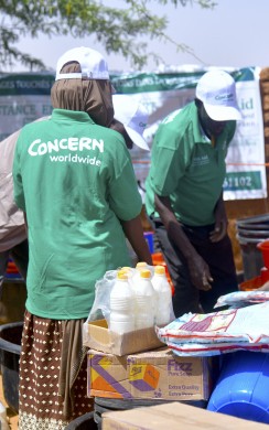 Concern distributes cash, essential kits and fortified flour to flood affected households in Niger.