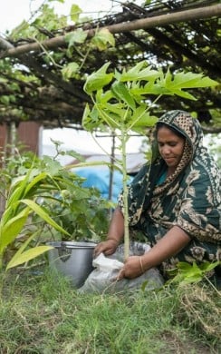 With support from local CRAGs and local Government flood affected homes recieve seeds for gardening in Bangladesh. Photo: Saikat Mojumde/Concern Worldwide.