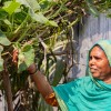 Malika Begum, participant in the Zurich Flood Resilience Programme. Photo: Gavin Douglas / Concern Worldwide